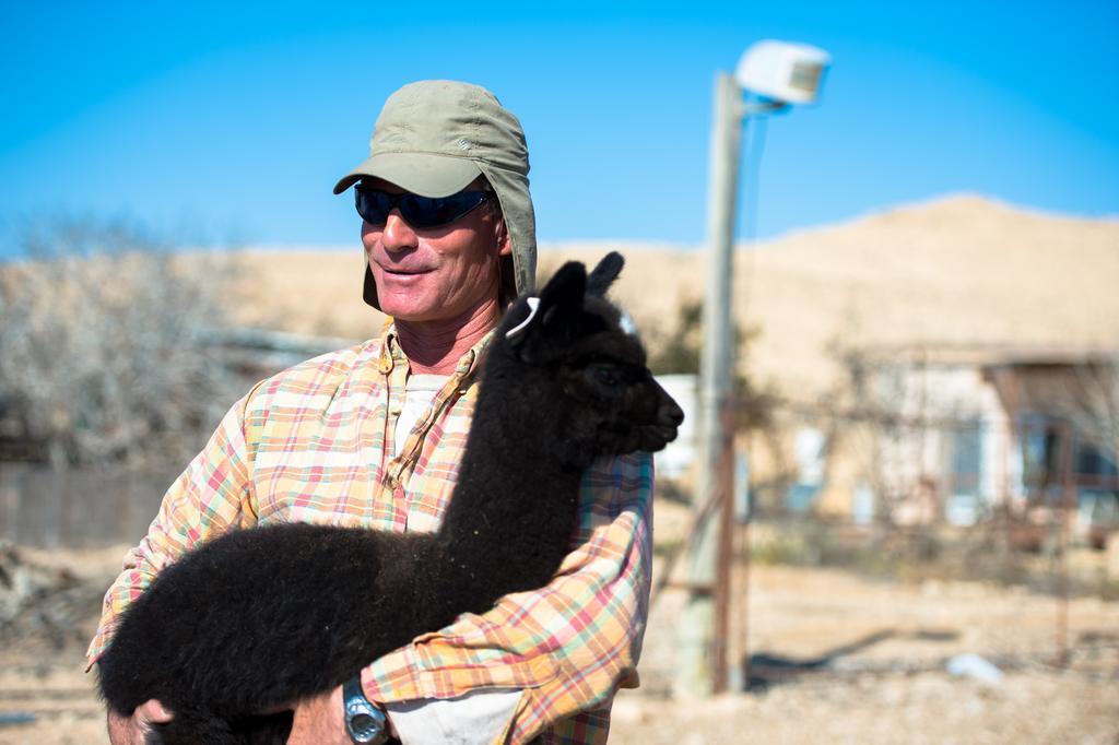Alpaca Farm - חוות האלפקות Villa Мицпе Рамон Екстериор снимка