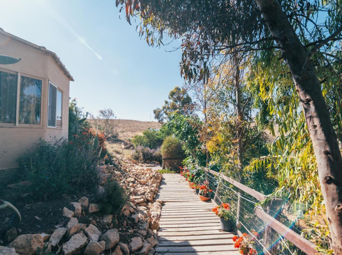 Alpaca Farm - חוות האלפקות Villa Мицпе Рамон Екстериор снимка
