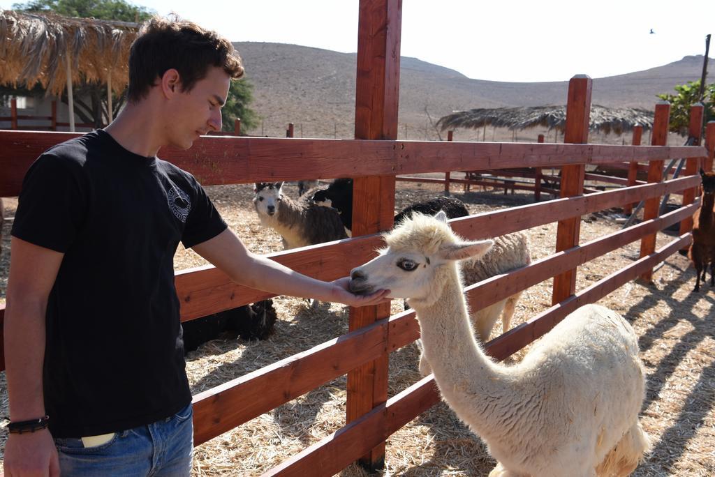 Alpaca Farm - חוות האלפקות Villa Мицпе Рамон Екстериор снимка