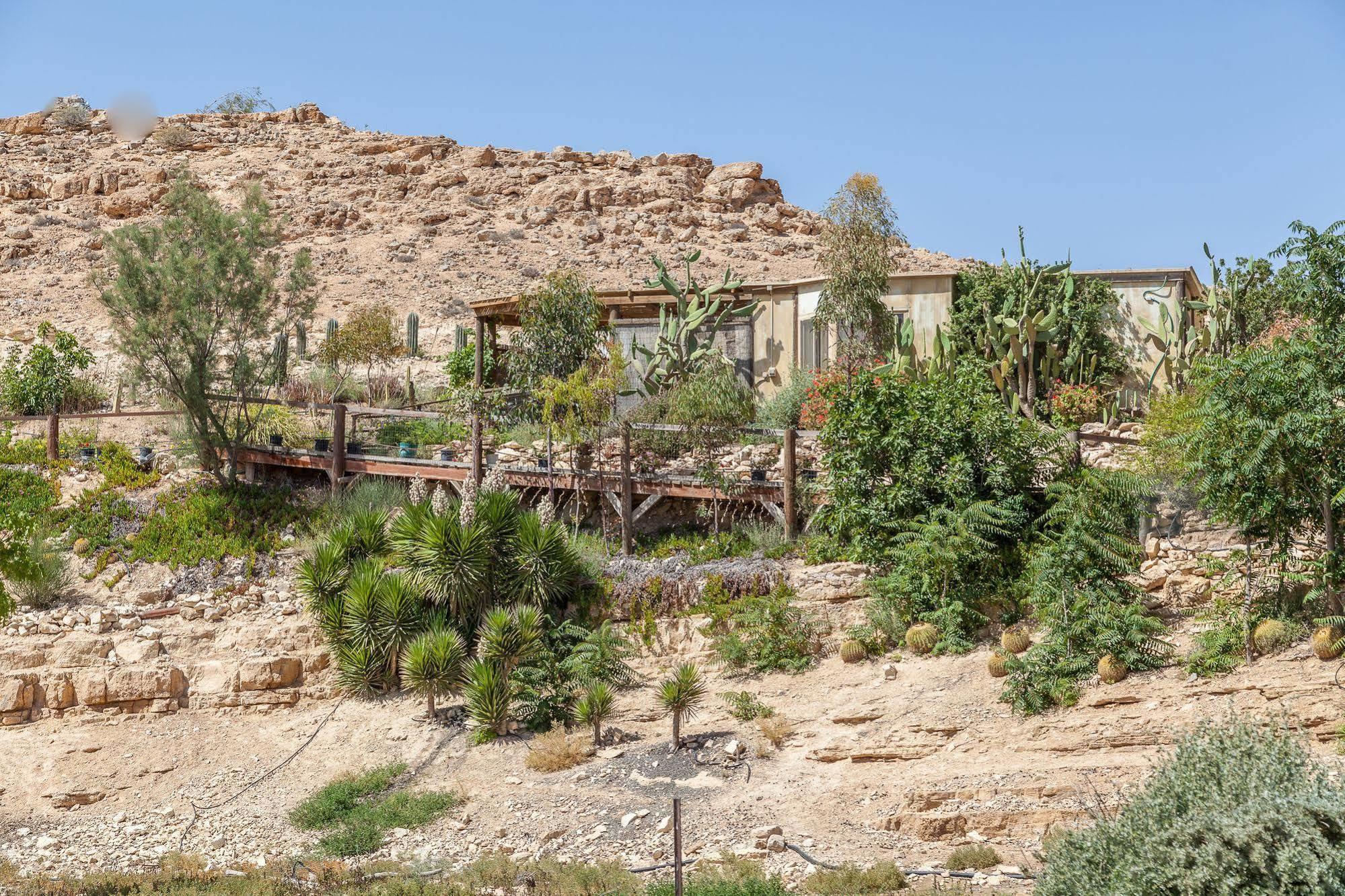 Alpaca Farm - חוות האלפקות Villa Мицпе Рамон Екстериор снимка